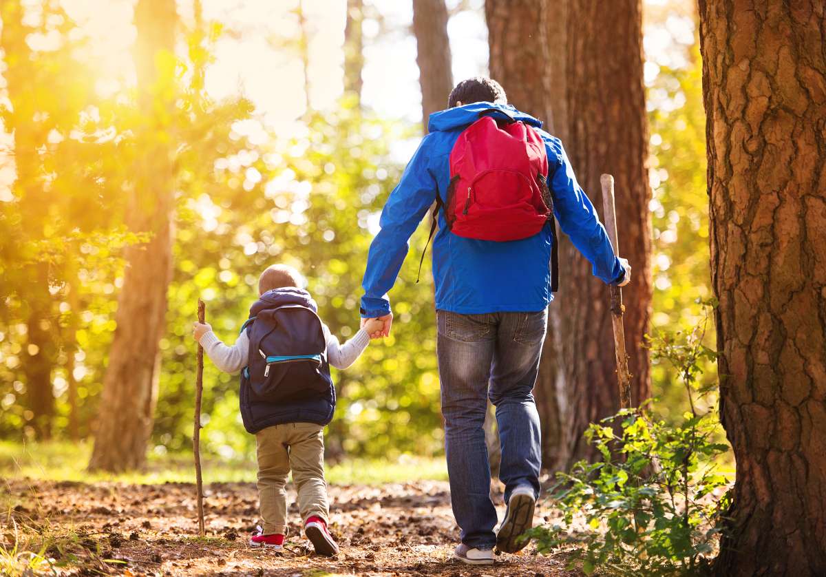 Hiking with shop toddlers